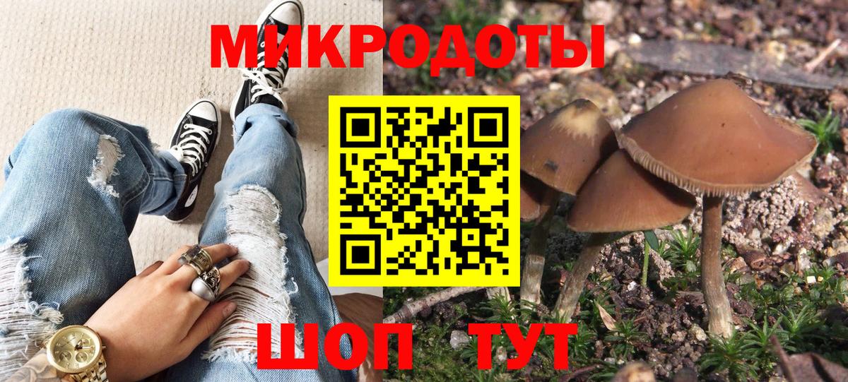 купить наркоту  Галлюциногенные грибы GOLDEN TEACHER  Вход с VPN  Кирово-Чепецк 