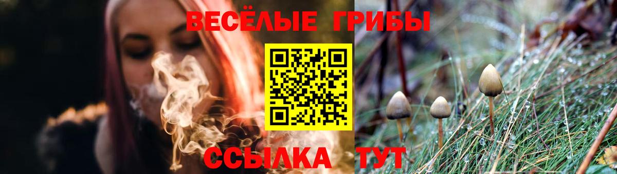 Псилоцибиновые грибы Psilocybine cubensis Кирово-Чепецк